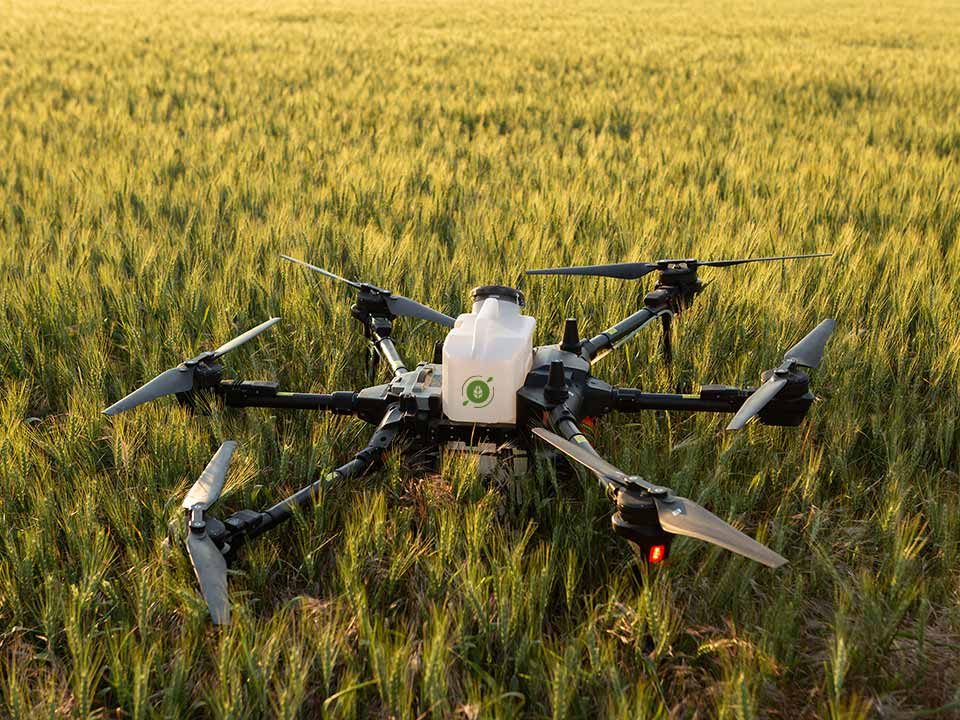 Agrospray-Portafolio-Dron-1 Dron agrícola con isotipo de la marca Agrospray de ocho hélices en un campo de cultivo de cereales, listo para realizar tareas de fumigación y recolección de datos.